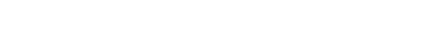 Data Intellect Logo