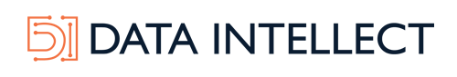 Data Intellect Logo 2